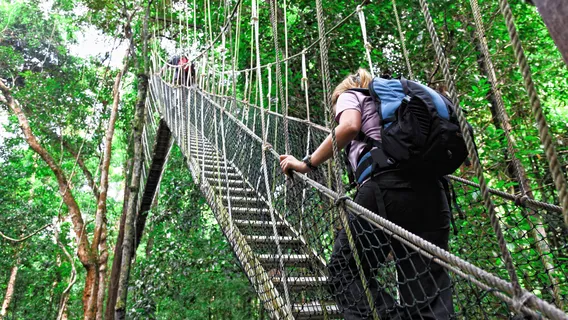 Taman Negara National Park Trekking & Boat Ride